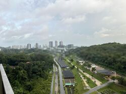 Normanton Park (D5), Apartment #422167871
